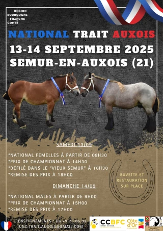 Qui va gagner à Semur ?