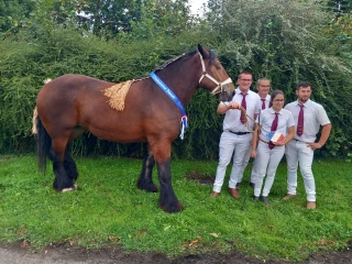 Un National Trait Auxois en majesté