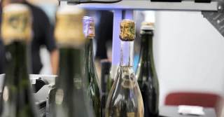 Le rendez-vous des effervescents