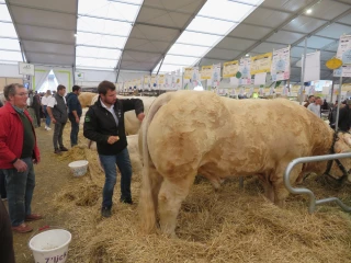 Focus sur l'adaptation au changement climatique