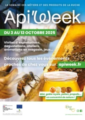Plongée dans les ruches