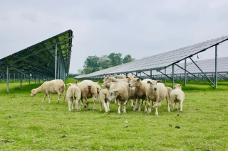 Photovoltaïque et investissements