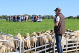Journée Technique Régionale Ovine