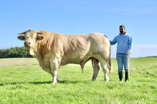 Des souvenirs marquants 