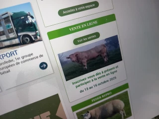 Acheter son veau en ligne avec Feder