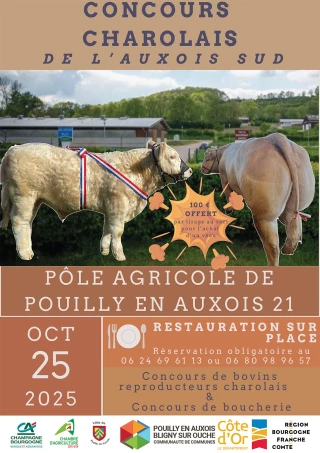 Concours charolais, le 25 octobre