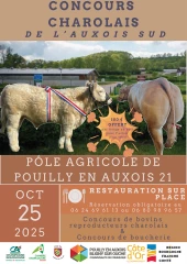 Concours charolais, le 25 octobre