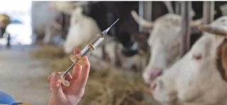 Lancement des opérations vaccinales
