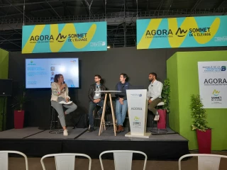 Sous les panneaux, plus de bien-être ?