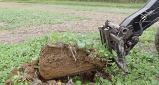 Dix ans d'essais et d'adaptations