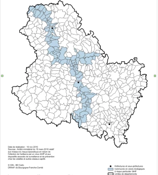 Grippe aviaire : le risque redevient élevé