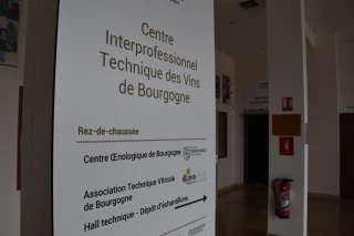 Une aide pour la filière viticole bourguignonne