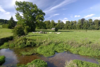 L’agence de l’eau renouvelle son expérimentation