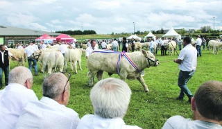 Un petit côté phénix pour le concours de Nevers