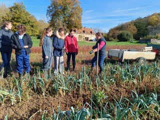 Dans la Nièvre, une récolte solidaire de légumes avec Solaal