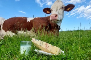 Des perspectives incertaines pour les filières laitières