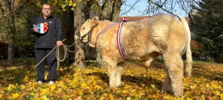 As de Cœur a tout les atouts