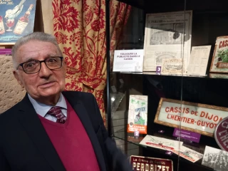 Cassis et cassissiers dans l'œil du collectionneur