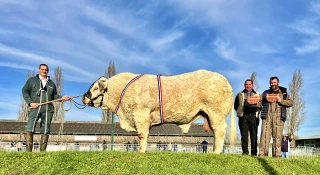 Une adaptation forcée