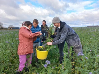 Stockage de carbone et d'azote