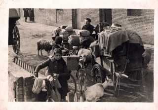 Il y a 85 ans, l'opération Dynamo