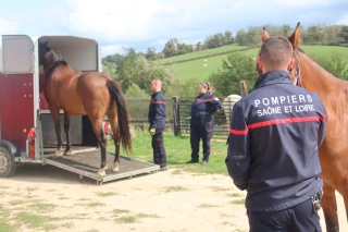 Le secours animalier s'entraîne en exploitations
