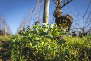 Des mesures type pour avancer collectivement