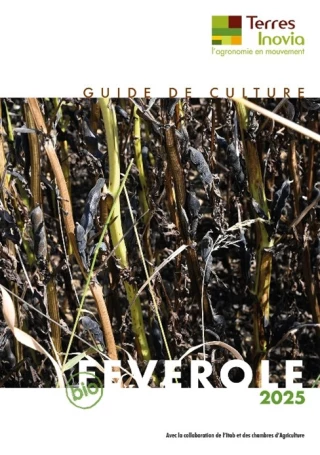 Le guide de culture de féverole bio est disponible