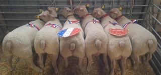 Dans le Cher, ça se vend cher