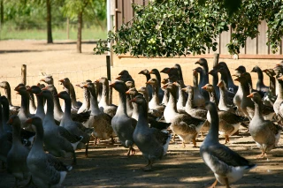 Un second foyer en Côte-d’Or