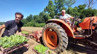 Tracer les sillons de la liberté