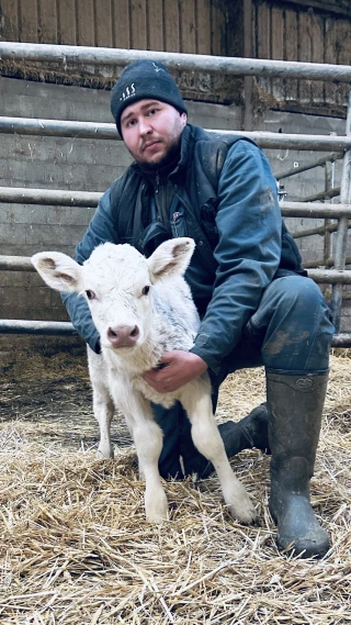 Une véritable hécatombe