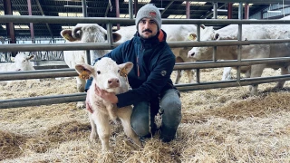 C'était lui ou Louis