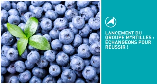 Une visio-conférence de présentation de la filière Nivernaise 