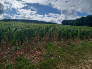 Les Hautes-Côtes élargissent leur horizon