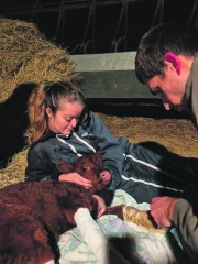 Le milieu rural lui tend les bras