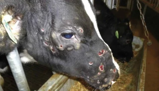 Sur la DNC, s'appuyer sur des critères scientifiques