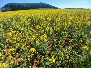 Une maîtrise de la chaîne payante
