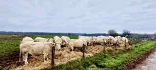 Des idées pour se développer