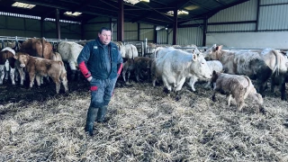 Les ravages de la FCO