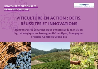 Quelles pratiques agroécologiques en viticulture ?
