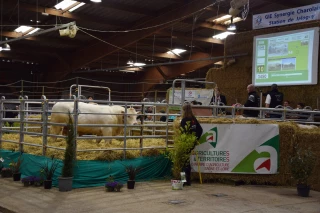 À Jalogny, la vente maintenue