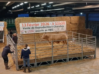 Le compte à rebours est lancé