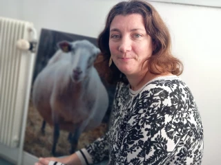 Qui, de l'homme ou de l'animal, influence l'autre...