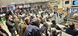 « Pour tous les goûts »