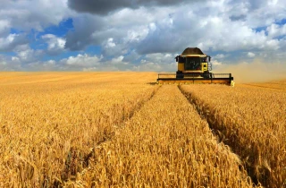 La guerre en Ukraine inquiète et contrarie  les fondamentaux