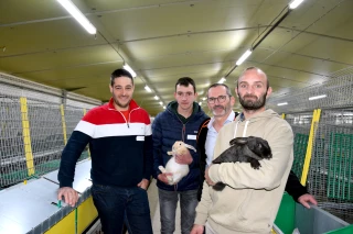 Elever des lapins réclame des espaces bien pensés