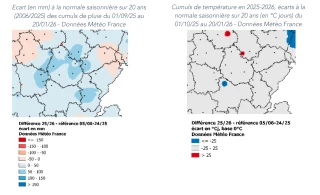 Apport d’azote au tallage : ne pas se précipiter
