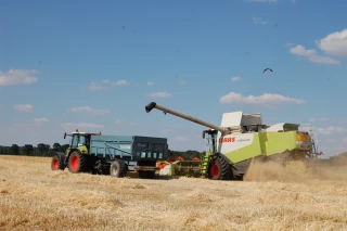 Des « miettes » pour les céréaliers