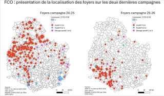 Quels sont les critères de reconnaissance d'un foyer de FCO ?